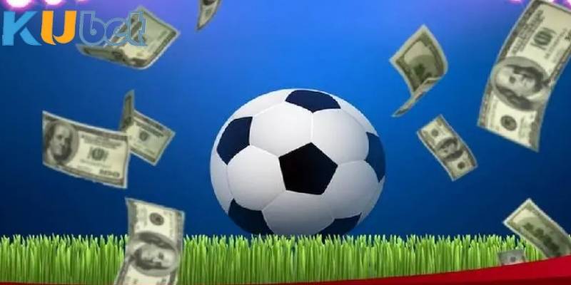 Giấy phép đảm bảo nhà cái hoạt động có tổ chức